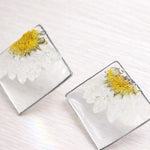 Orecchini donna fiori Margherite vere al lobo essiccate pressate in resina trasparente. gioielli in resina. Regalo donna. Accessori