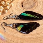 Entomology Earrings with Real Turquoise Green Butterfly Wings, Silver Stainless Steel and Rhinestones | Handmade Nature Jewelry