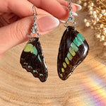 Entomology Earrings with Real Turquoise Green Butterfly Wings, Silver Stainless Steel and Rhinestones | Handmade Nature Jewelry