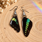 Entomology Earrings with Real Turquoise Green Butterfly Wings, Silver Stainless Steel and Rhinestones | Handmade Nature Jewelry