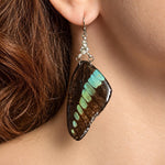 Entomology Earrings with Real Turquoise Green Butterfly Wings, Silver Stainless Steel and Rhinestones | Handmade Nature Jewelry