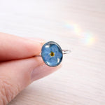 Anello midi nontiscordardime ovale con fiore vero in resina, regolabile in acciaio oro o argento